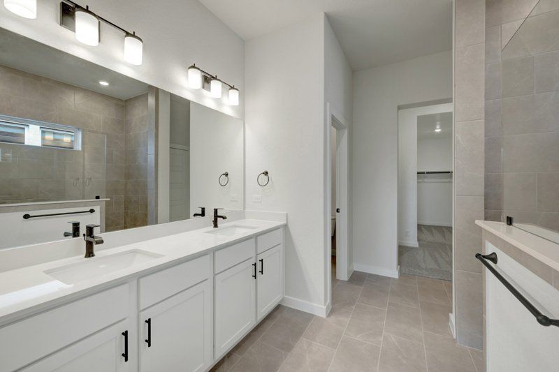 Owner's Bath