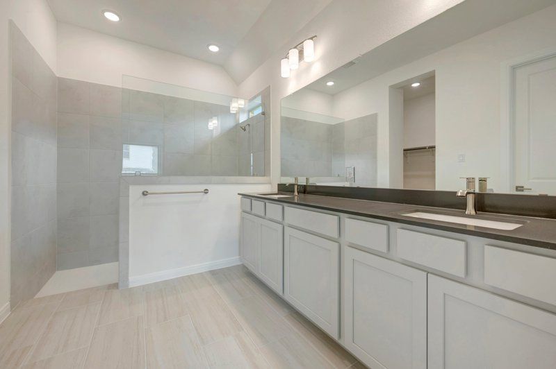 Owner's Bath