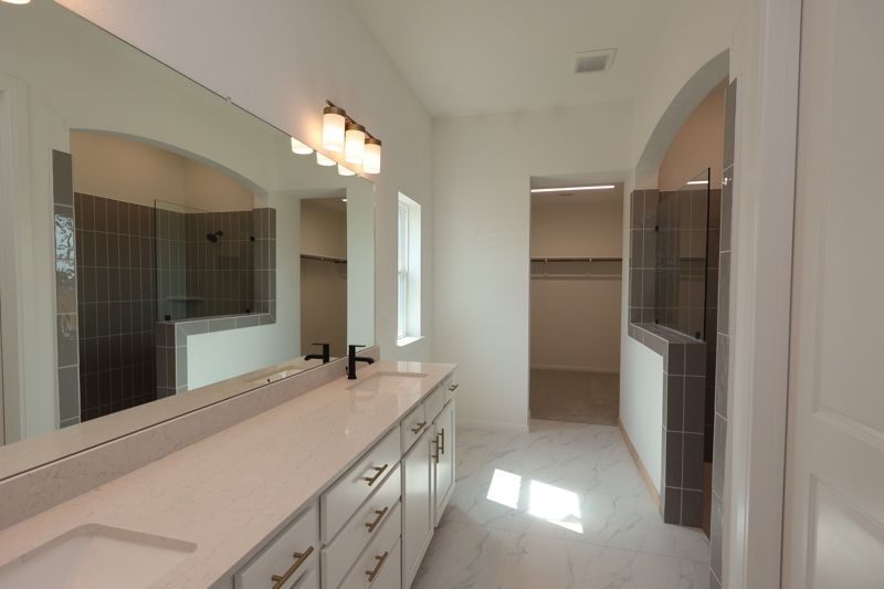 Owner's Bath