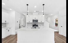 Grandview Terrace: Canton, Georgia - David Weekley Homes