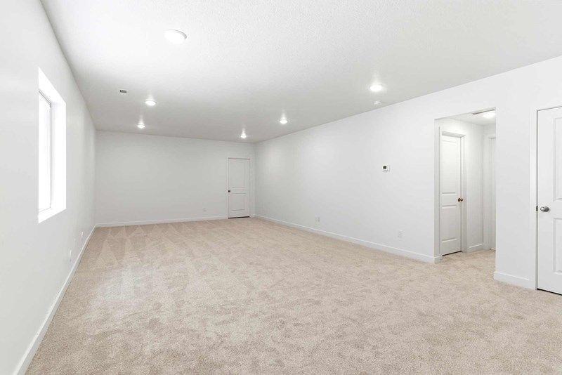 The Abington - Finished Basement