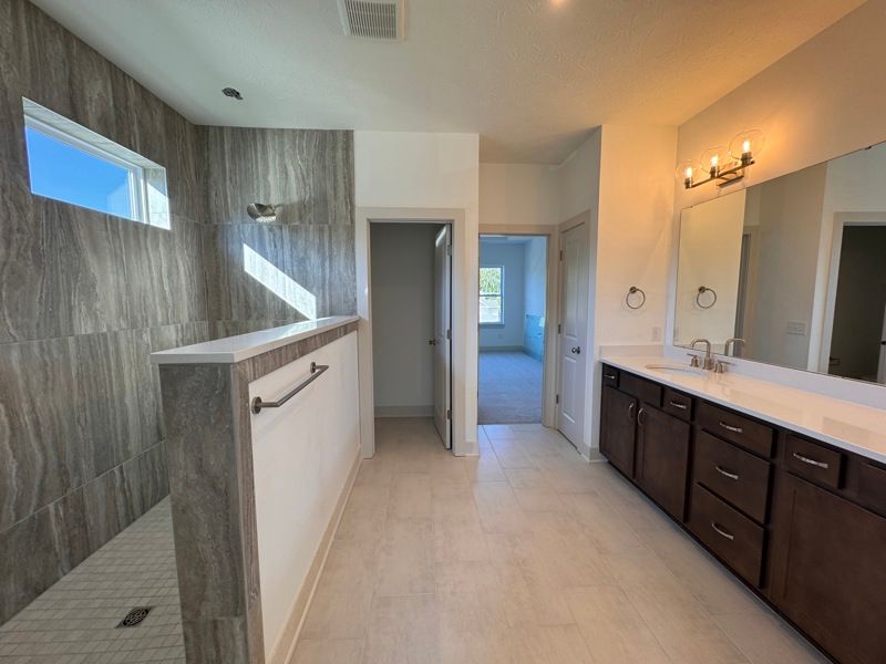 Owner's Bath