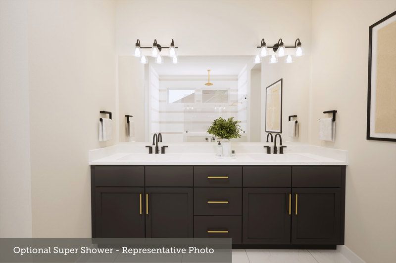 Owner's Bath