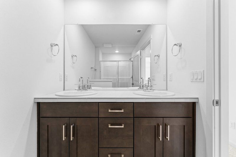 Owner's Bath