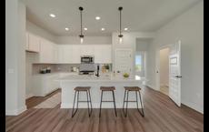 Easton Park - Nelson Village - Haven Series: Austin, Texas - David Weekley Homes