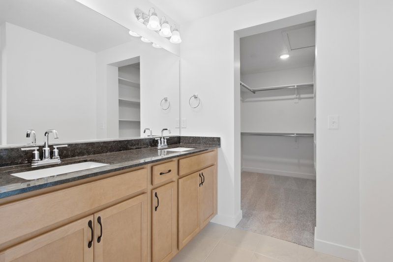 Owner's Bath