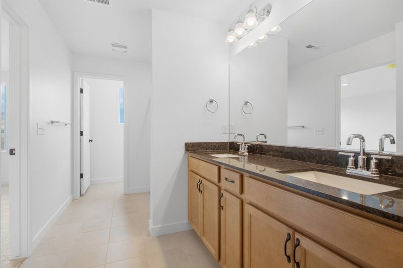 Owner's Bath