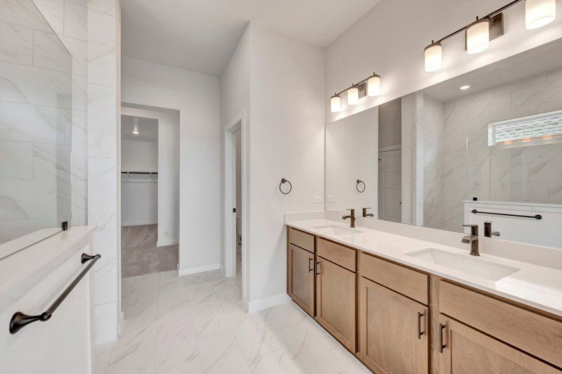 Owner's Bath