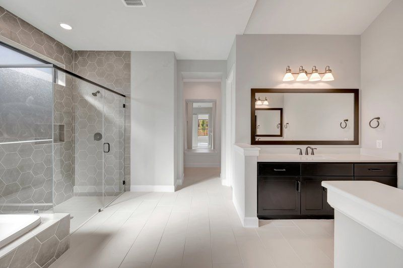 Owner's Bath