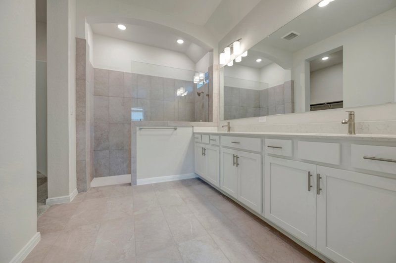 Owner's Bath