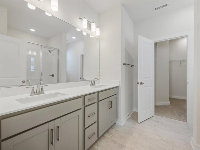 Owner's Bath