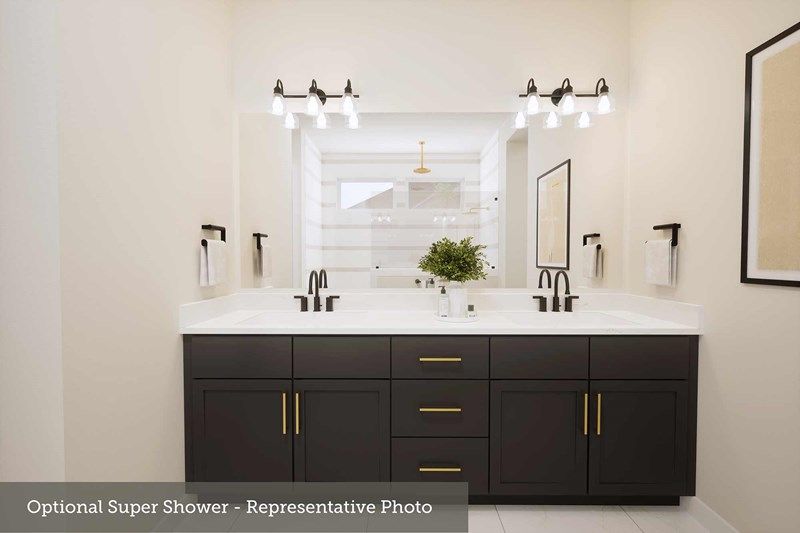 Owner's Bath - Representative Photo