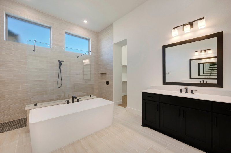 Owner's Bath