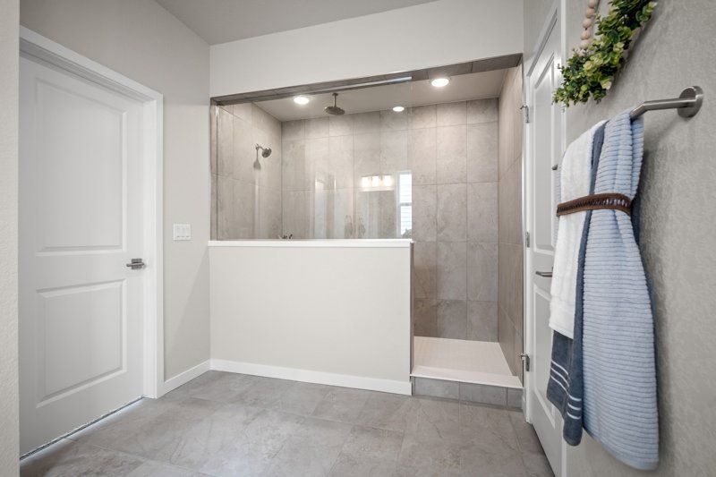 Owner's Bath