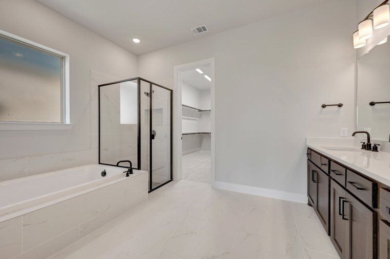 Owner's Bath