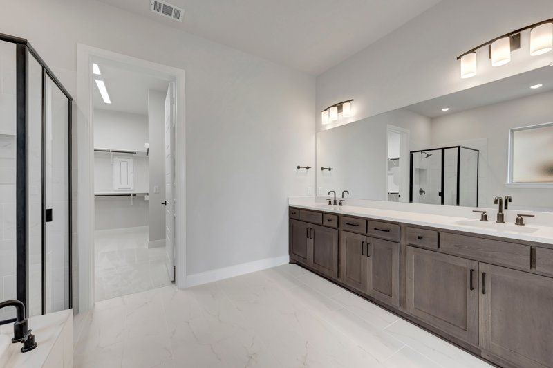 Owner's Bath