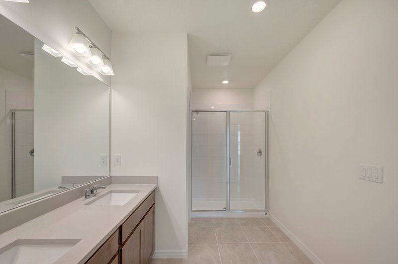 Owner's Bath