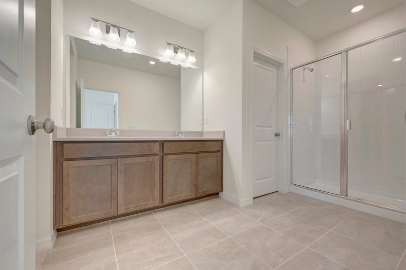 Owner's Bath