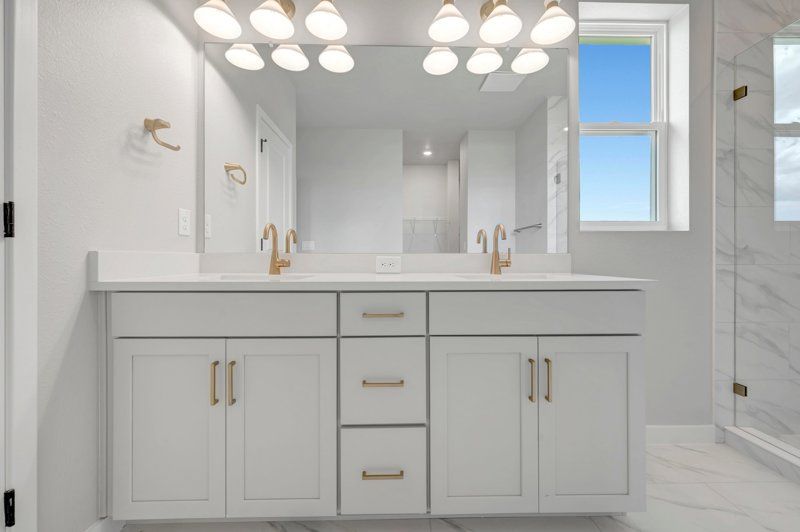Owner's Bath