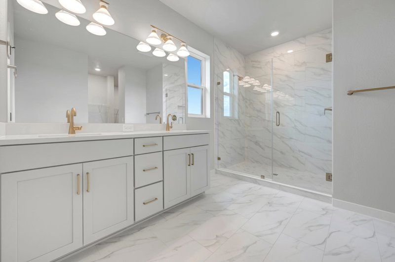 Owner's Bath