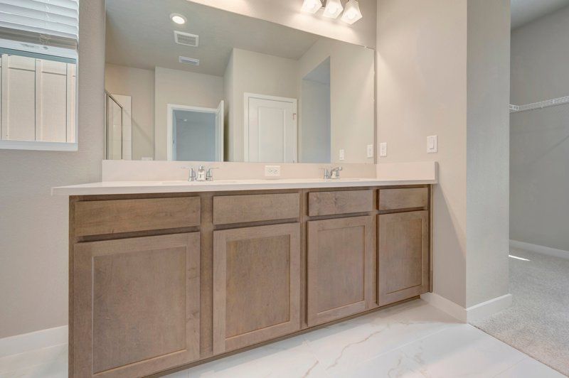 Owner's Bath