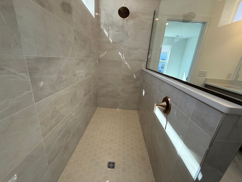Owner's Bath