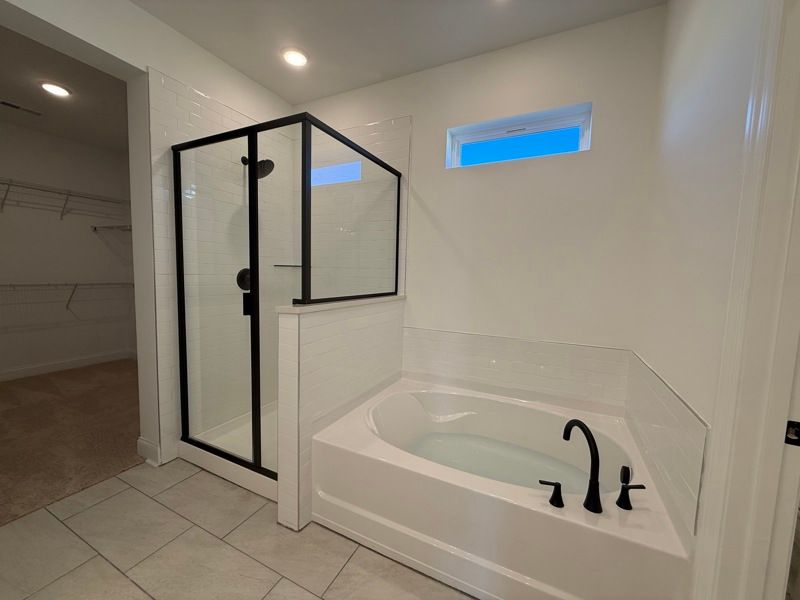 Owner's Bath
