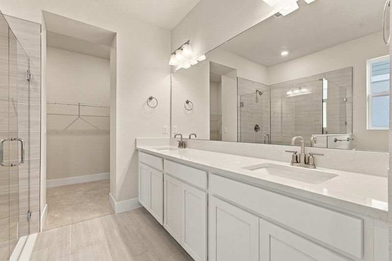 Owner's Bath