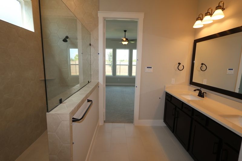 Owner's Bath