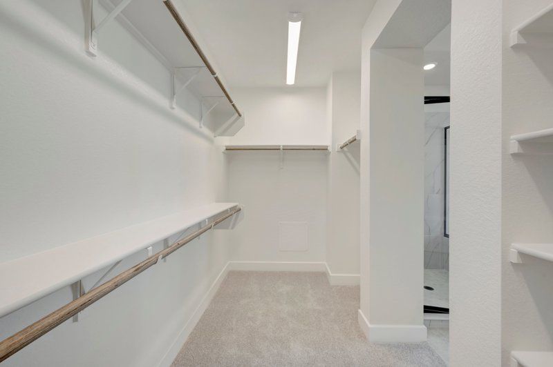 Owner's Bath