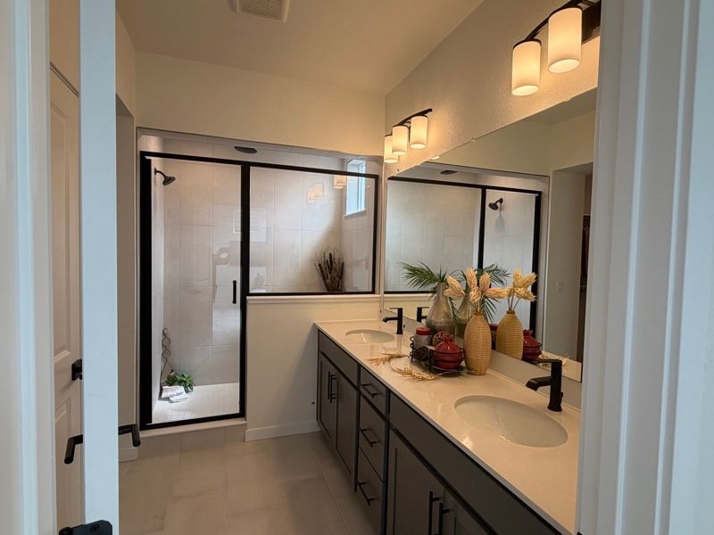 Owner's Bath