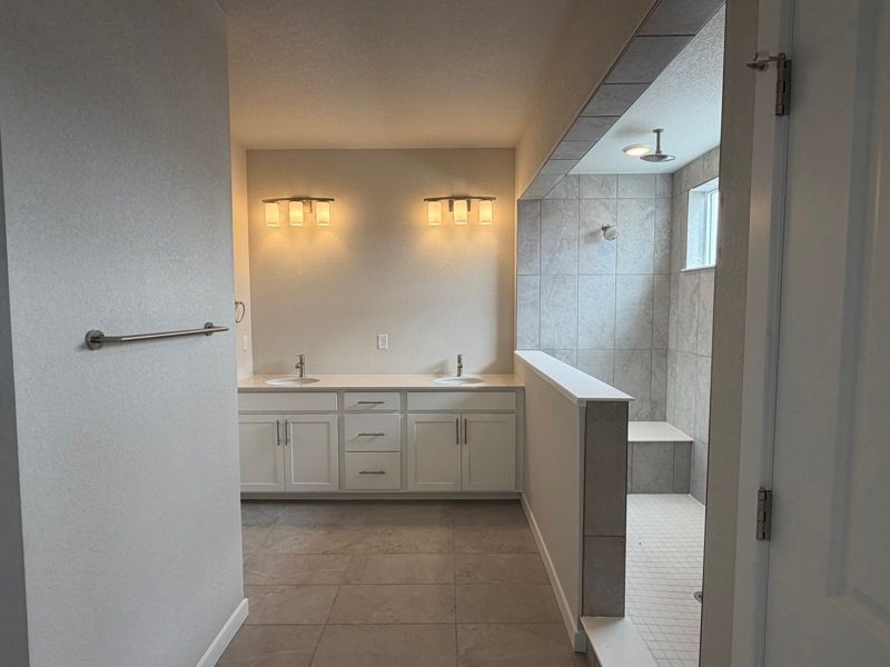 Owner's Bath