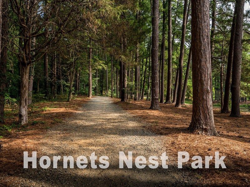 Hornets Nest Park