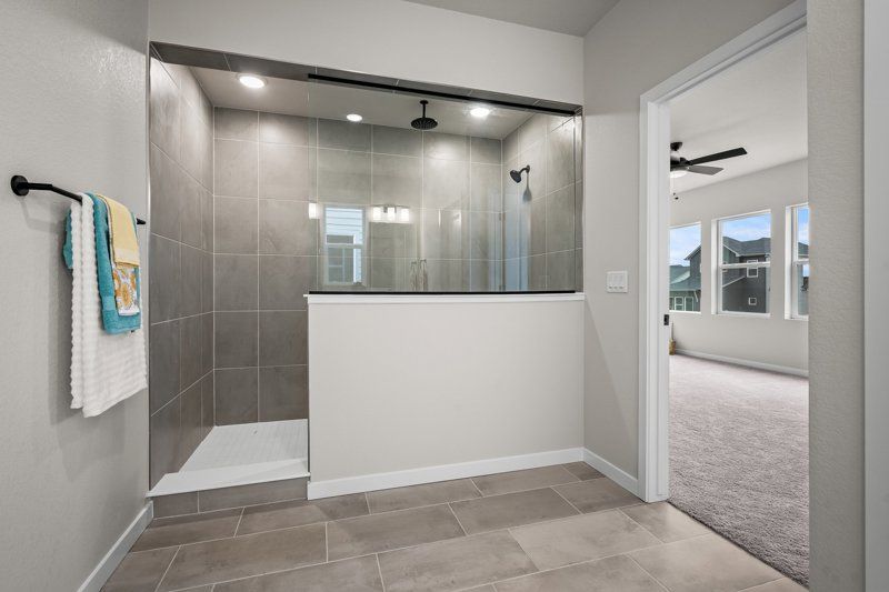 Owner's Bath