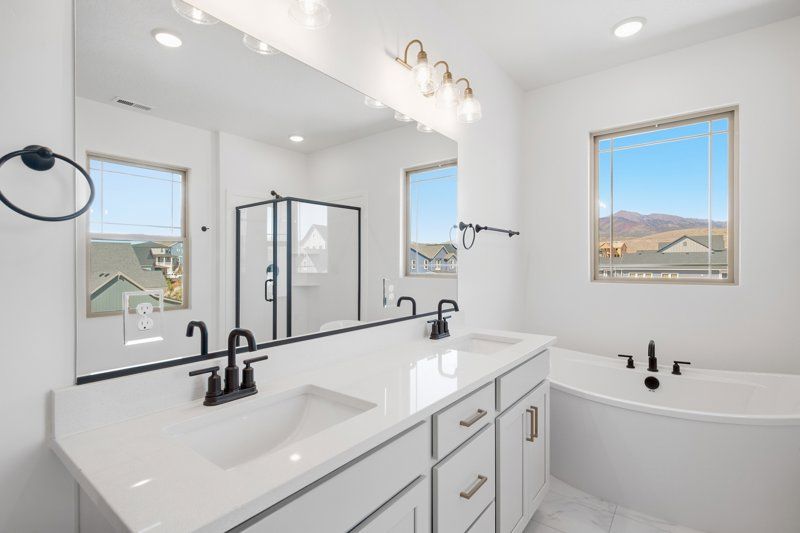 Owner's Bath