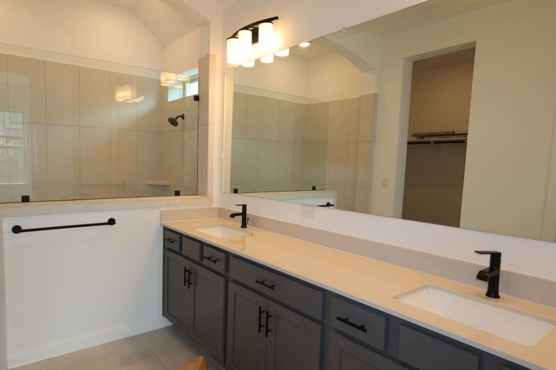 Owner's Bath