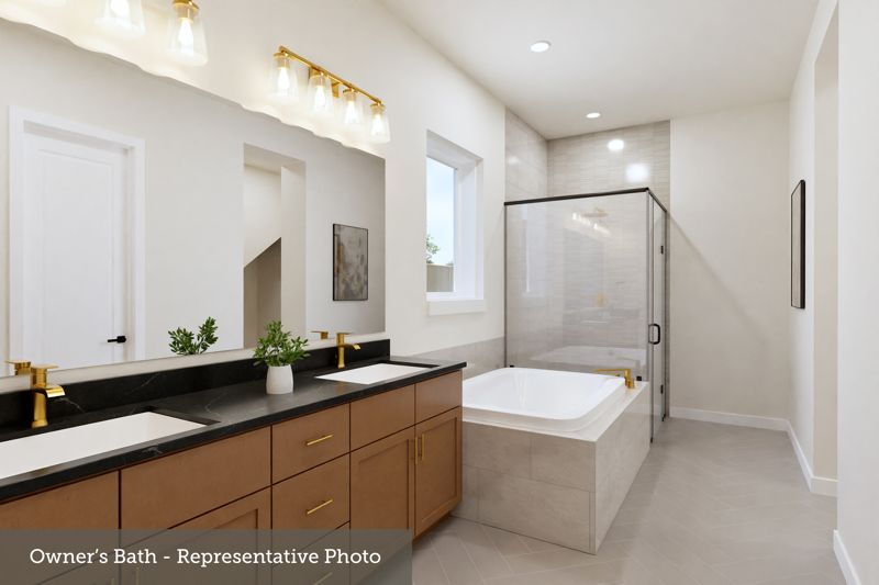 Owner's Bath