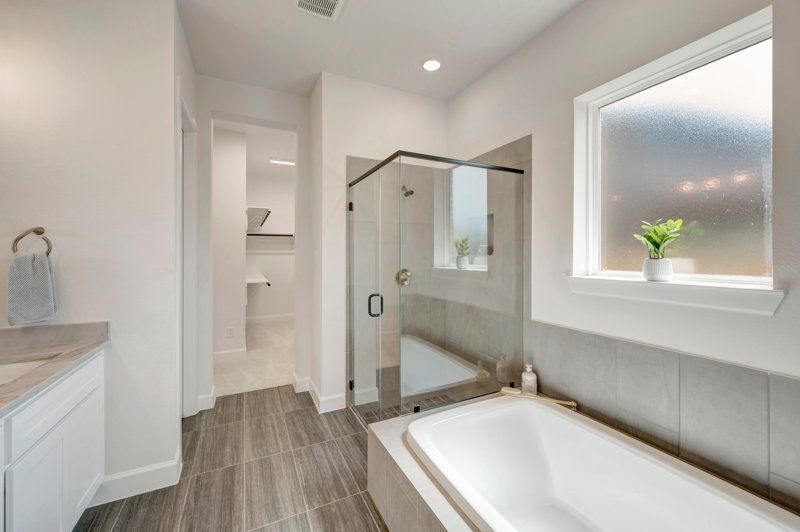 Owner's Bath