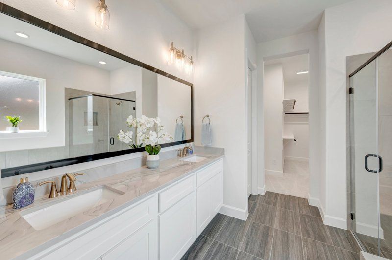 Owner's Bath
