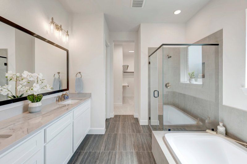 Owner's Bath