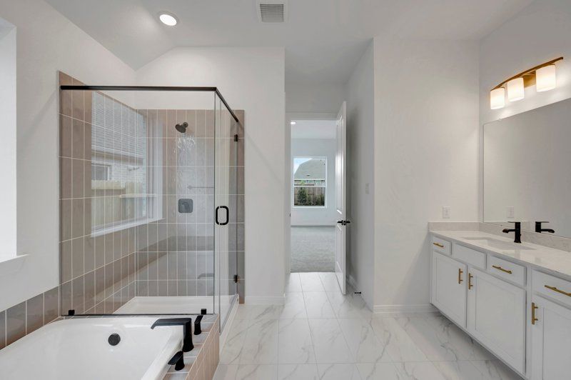 Owner's Bath