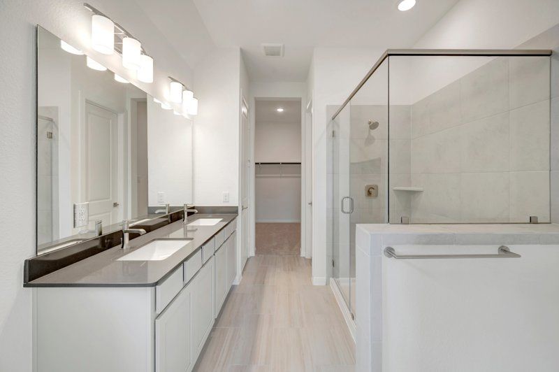 Owner's Bath