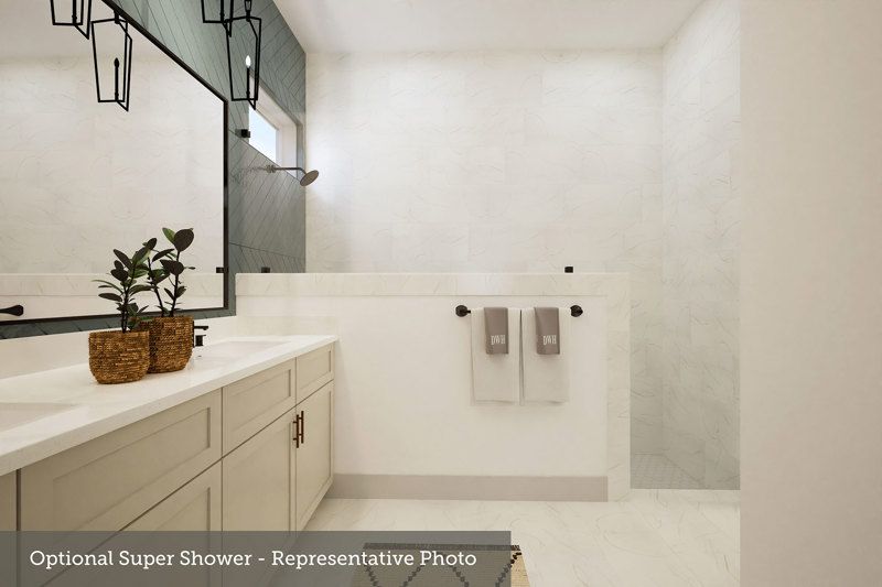 Owner's Bath