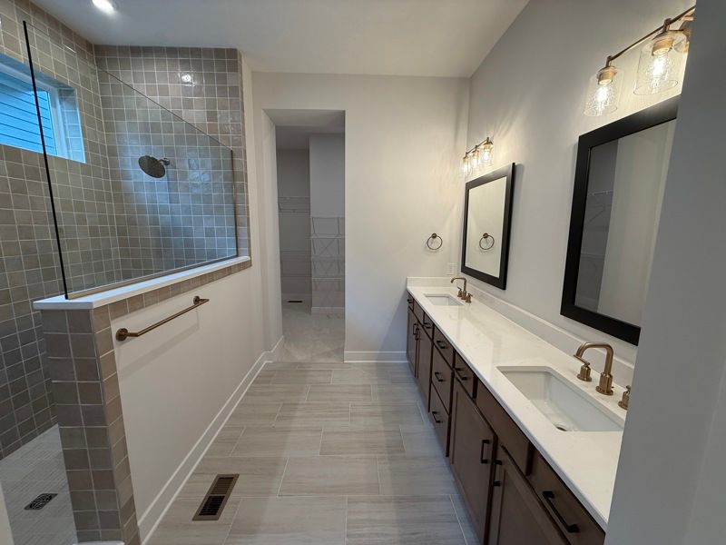 Owner's Bath