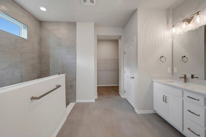 Owner's Bath