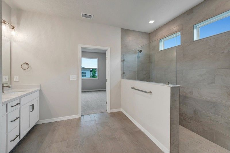 Owner's Bath