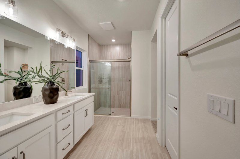 Owner's Bath