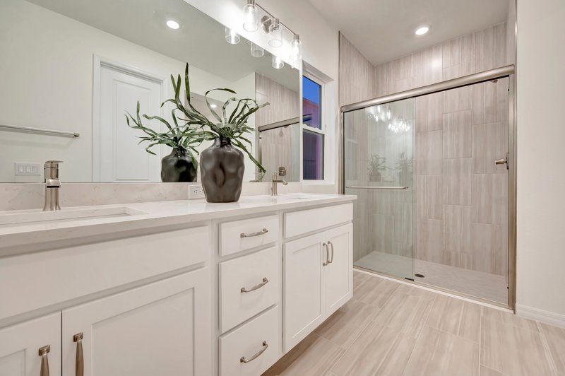 Owner's Bath