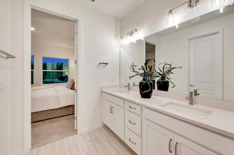 Owner's Bath