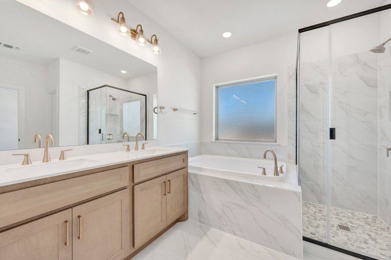 Owner's Bath